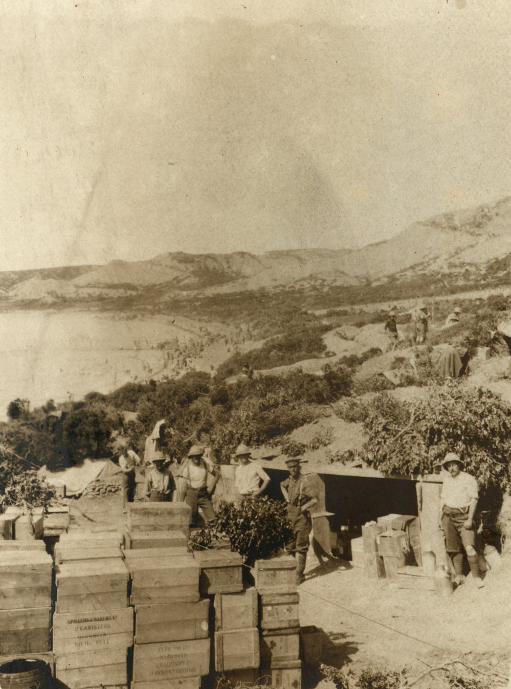 Photo from page 14 of album WWI Photograph Album - Egypt and Gallipoli