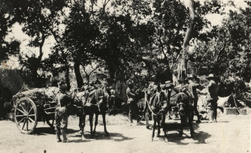 Photo from page 18 of album WWI Photograph Album - Egypt and Gallipoli