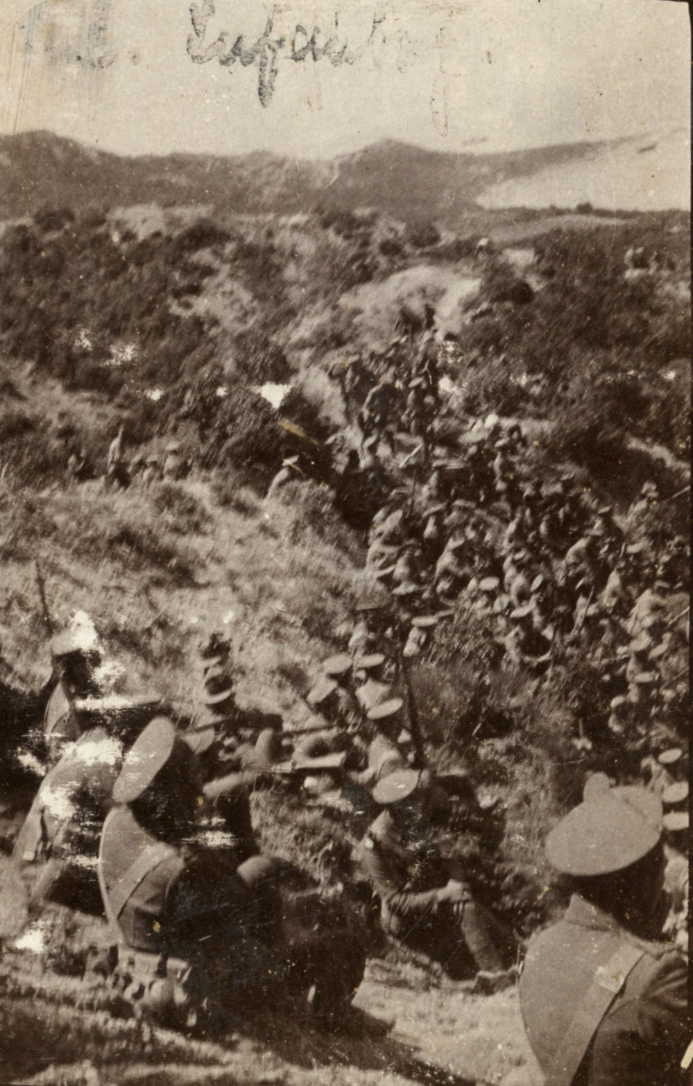 Photo from page 21 of album WWI Photograph Album - Egypt and Gallipoli