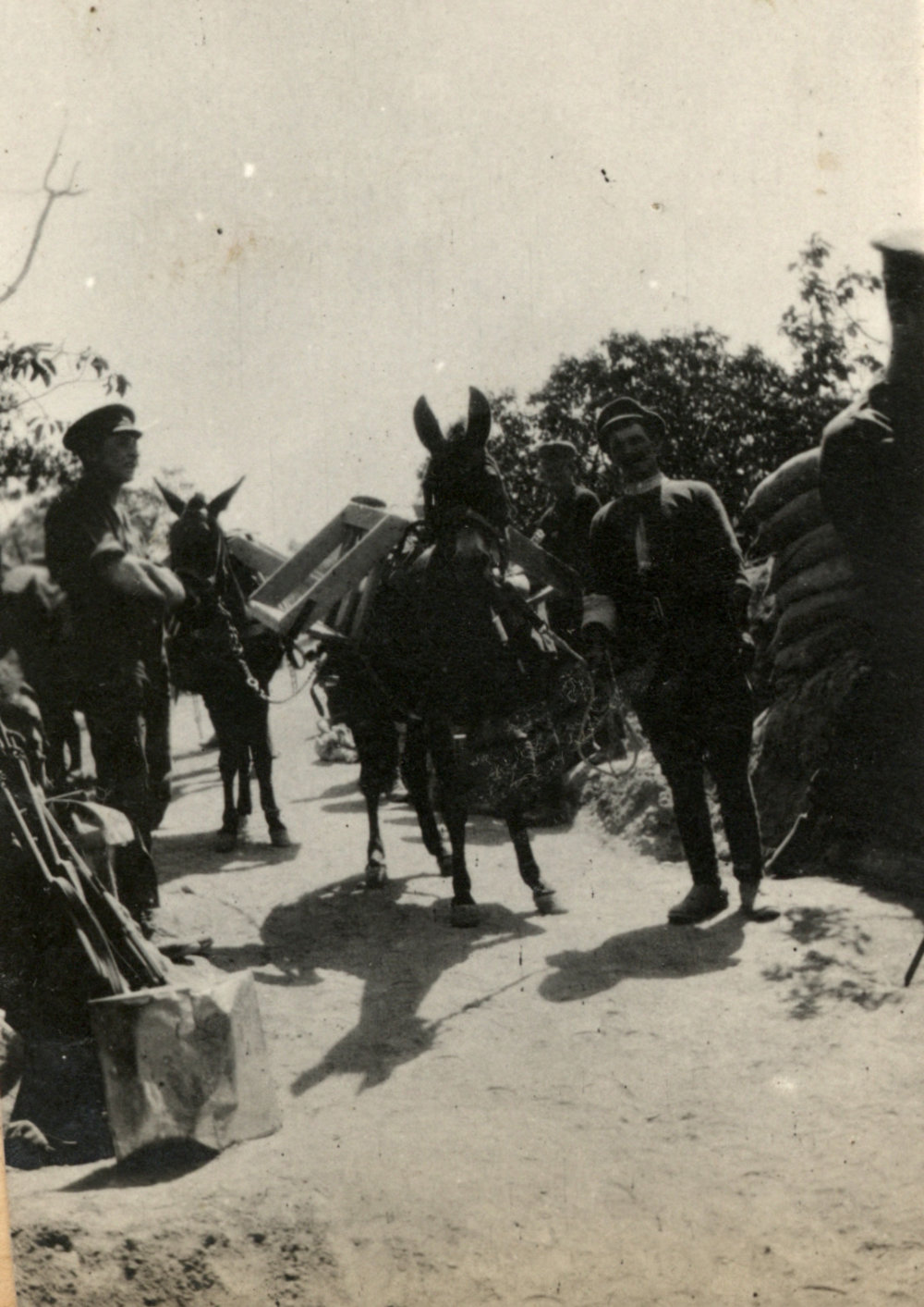 Photo from page 26 of album WWI Photograph Album - Egypt and Gallipoli