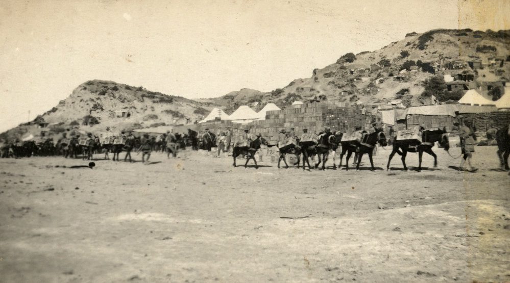 Photo from page 26 of album WWI Photograph Album - Egypt and Gallipoli