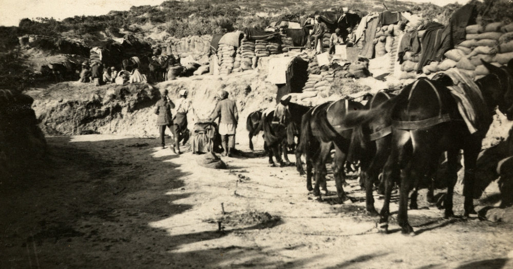 Photo from page 27 of album WWI Photograph Album - Egypt and Gallipoli