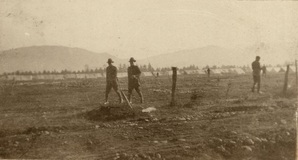 Photo from page 30 of album WWI Photograph Album - Egypt and Gallipoli