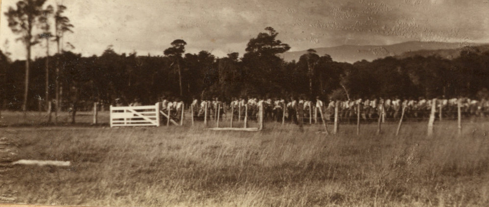 Photo from page 31 of album WWI Photograph Album - Egypt and Gallipoli