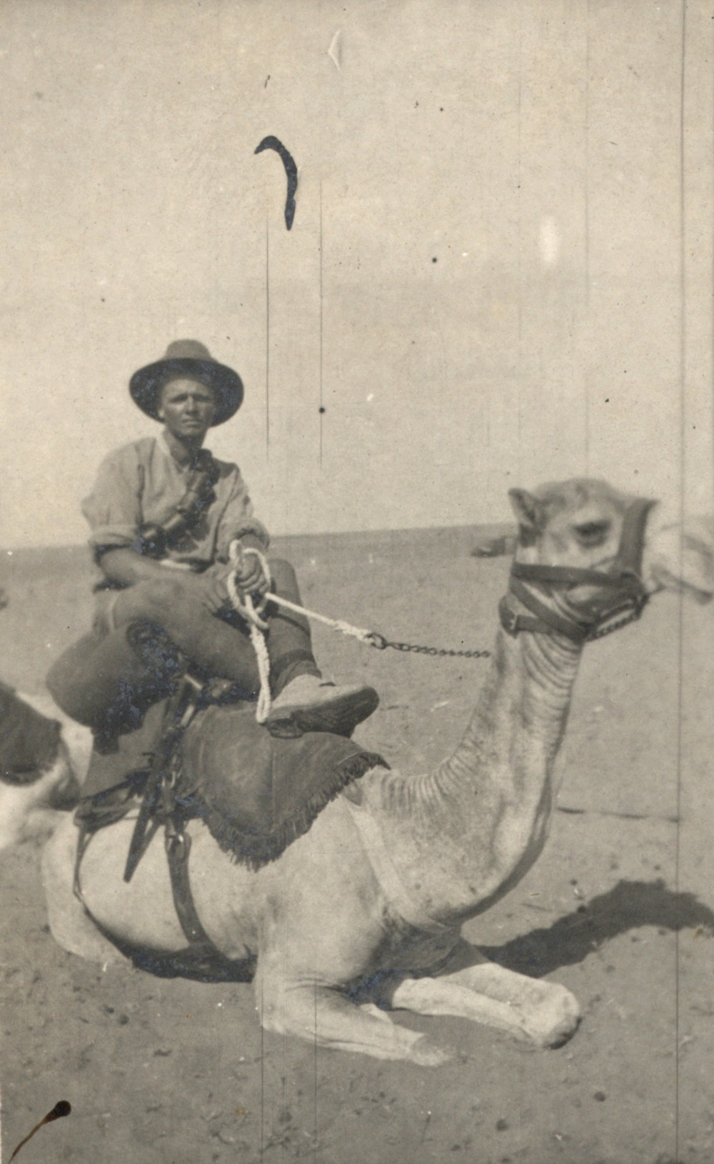 Photo from page 02 of album WWI Photograph Album - Egypt and Palestine, WWI