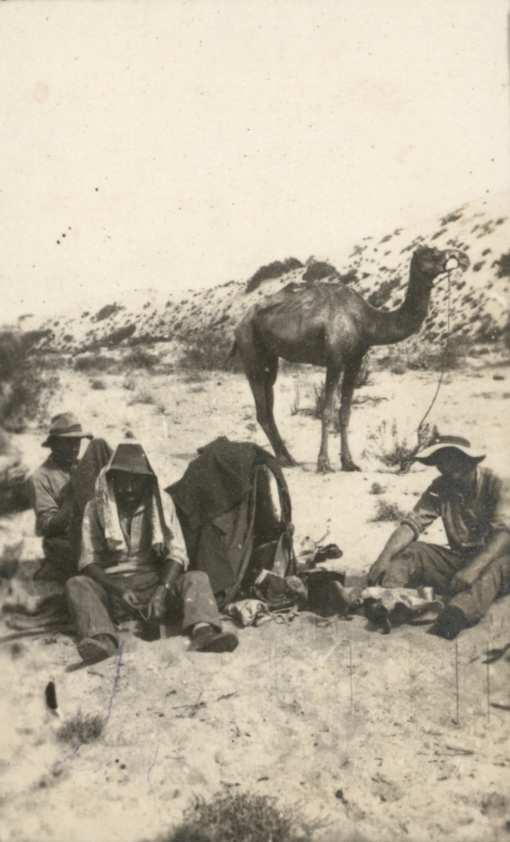 Photo from page 02 of album WWI Photograph Album - Egypt and Palestine, WWI
