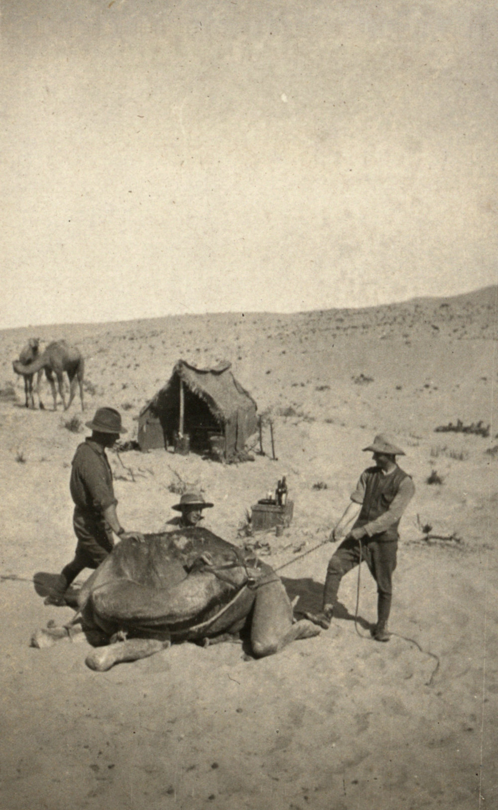 Photo from page 03 of album WWI Photograph Album - Egypt and Palestine, WWI