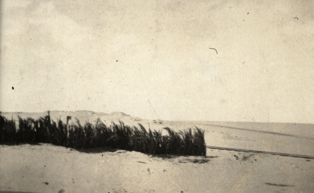 Photo from page 04 of album WWI Photograph Album - Egypt and Palestine, WWI