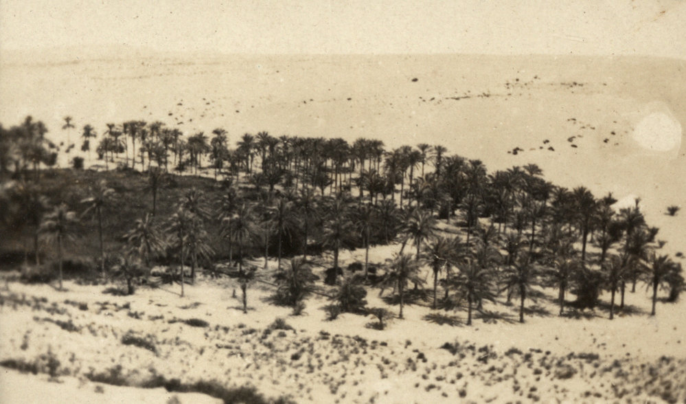 Photo from page 04 of album WWI Photograph Album - Egypt and Palestine, WWI