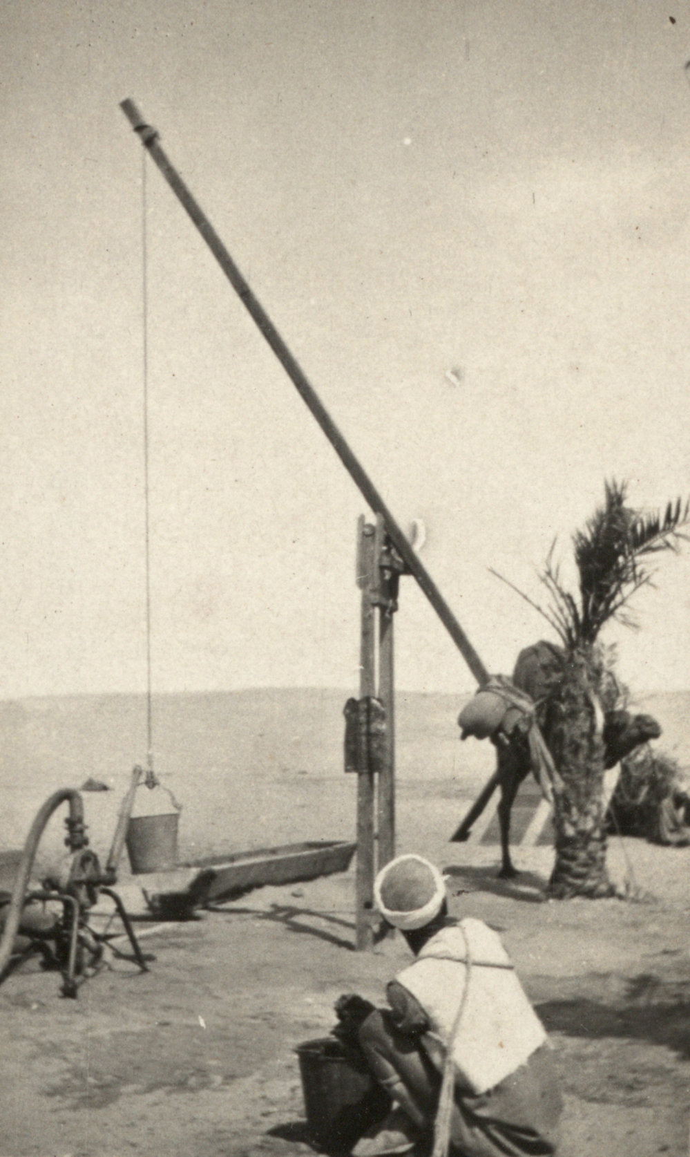 Photo from page 05 of album WWI Photograph Album - Egypt and Palestine, WWI