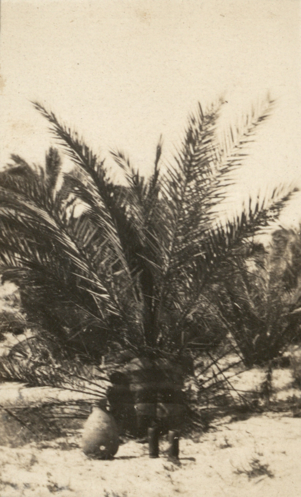 Photo from page 05 of album WWI Photograph Album - Egypt and Palestine, WWI