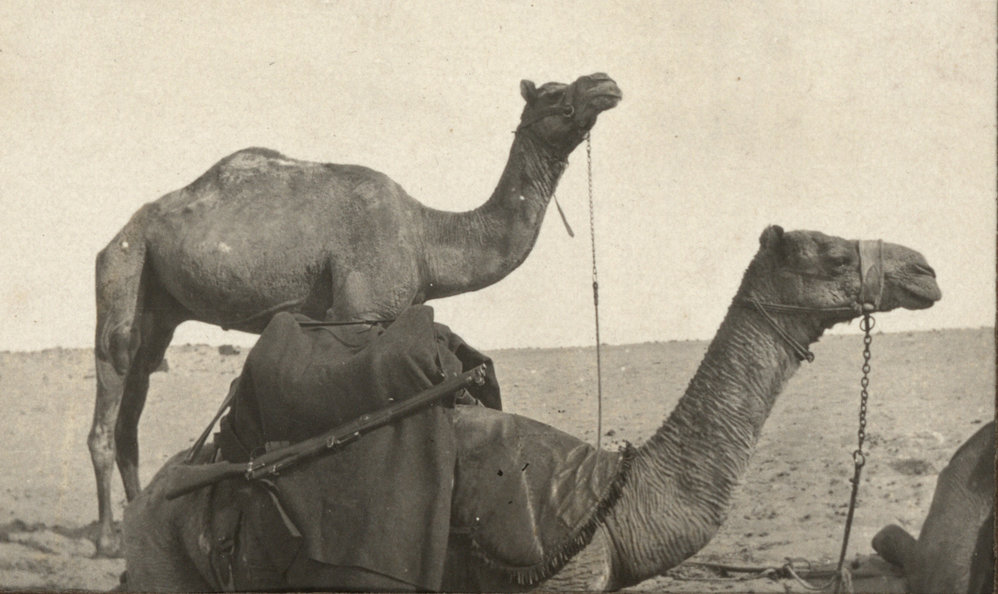 Photo from page 06 of album WWI Photograph Album - Egypt and Palestine, WWI