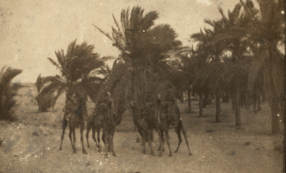 Photo from page 06 of album WWI Photograph Album - Egypt and Palestine, WWI