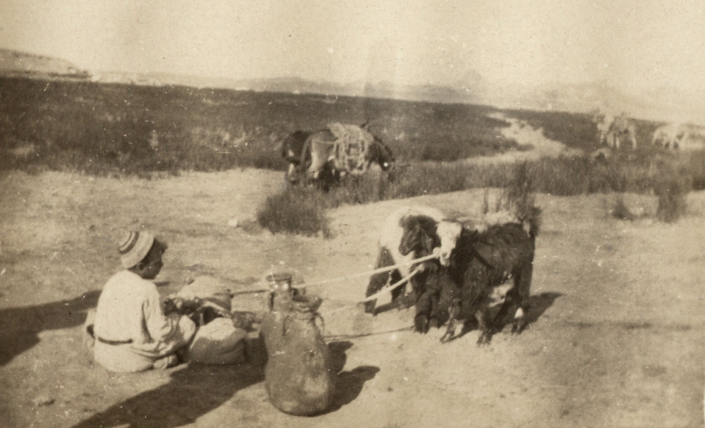 Photo from page 07 of album WWI Photograph Album - Egypt and Palestine, WWI