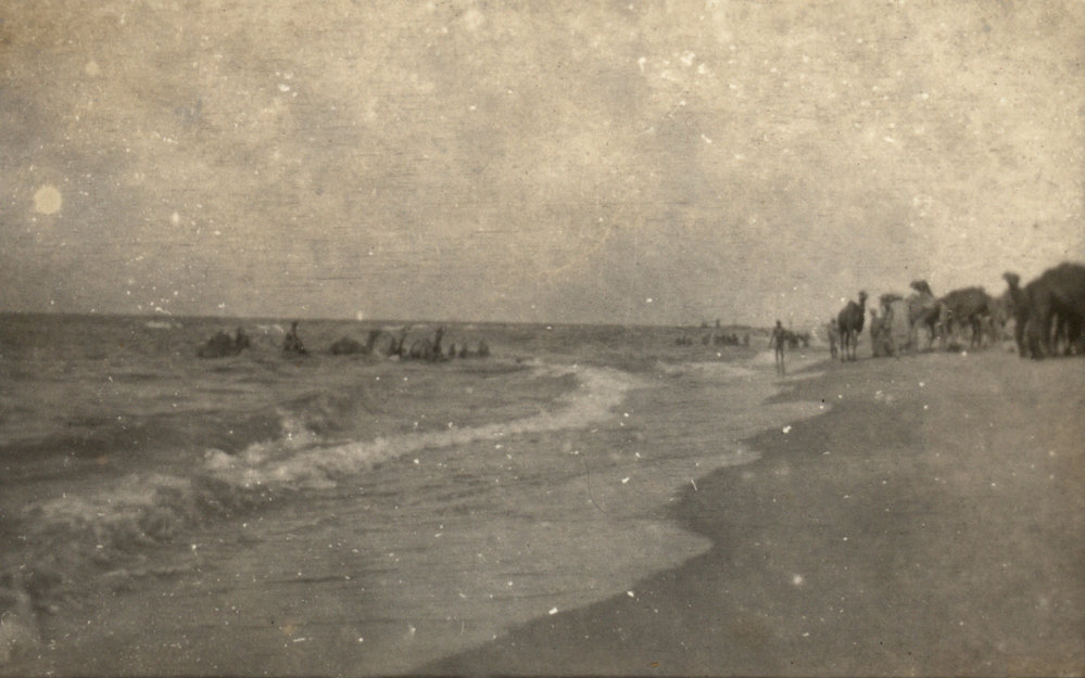 Photo from page 08 of album WWI Photograph Album - Egypt and Palestine, WWI