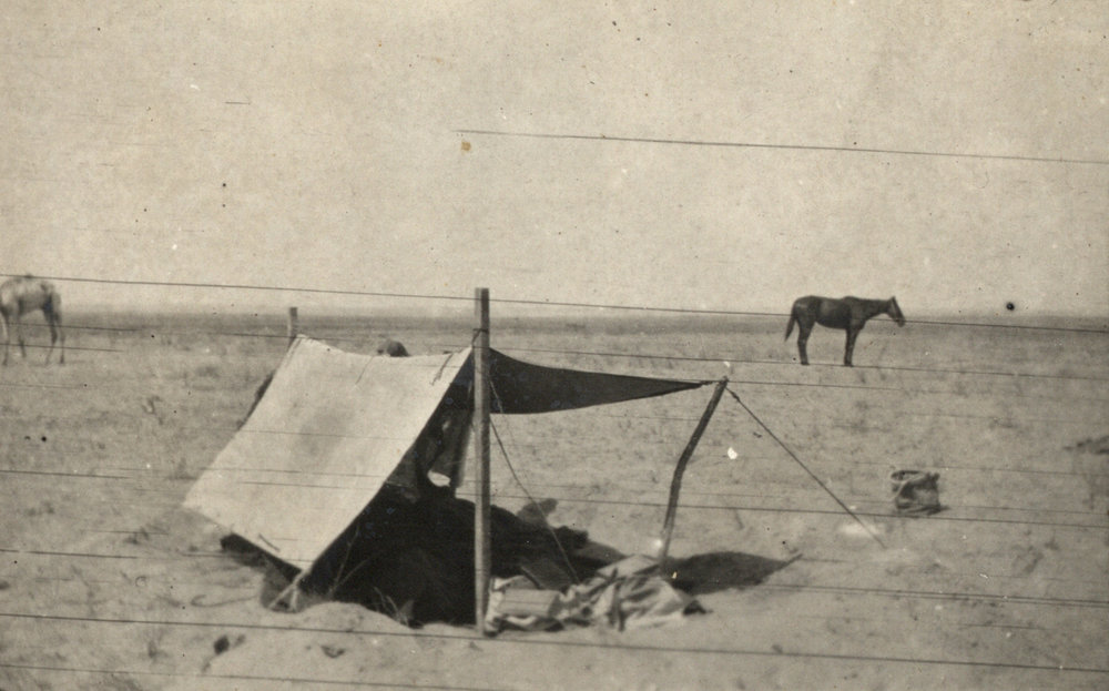 Photo from page 09 of album WWI Photograph Album - Egypt and Palestine, WWI
