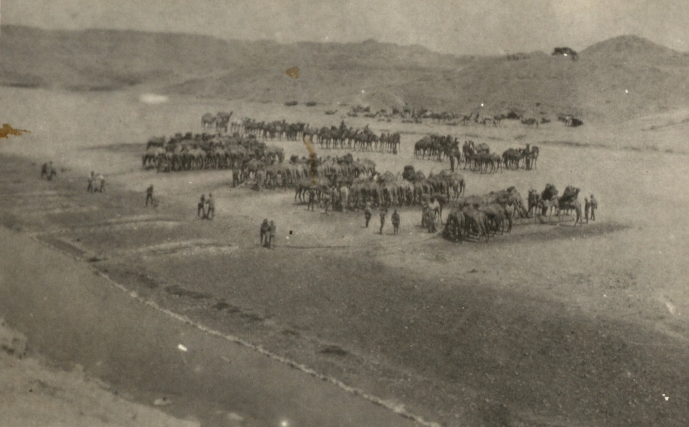 Photo from page 09 of album WWI Photograph Album - Egypt and Palestine, WWI