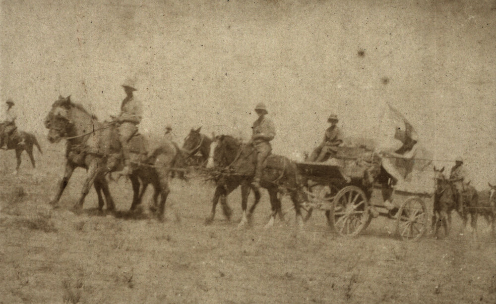 Photo from page 11 of album WWI Photograph Album - Egypt and Palestine, WWI