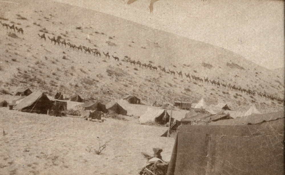 Photo from page 13 of album WWI Photograph Album - Egypt and Palestine, WWI