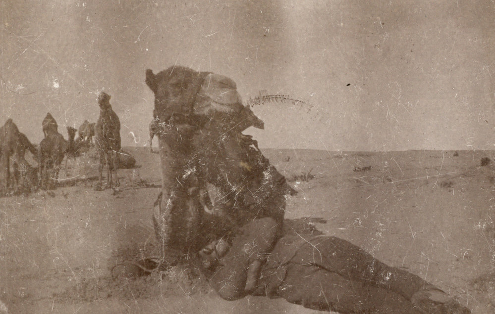 Photo from page 14 of album WWI Photograph Album - Egypt and Palestine, WWI