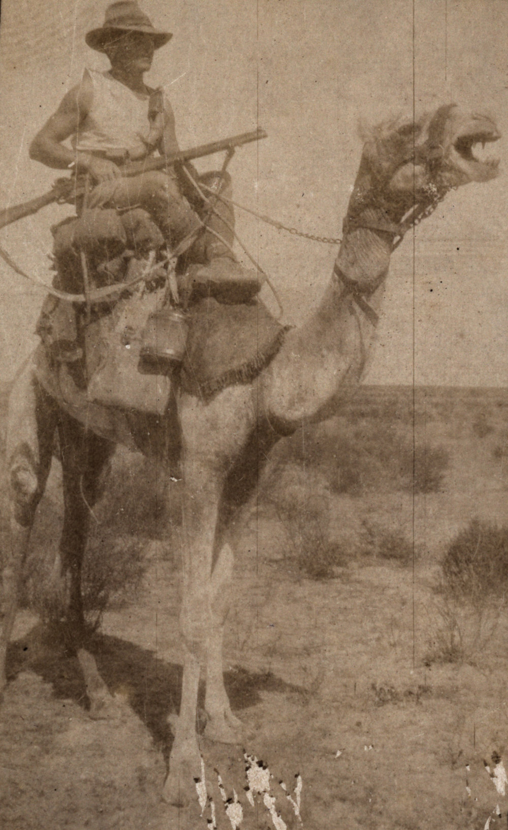 Photo from page 14 of album WWI Photograph Album - Egypt and Palestine, WWI