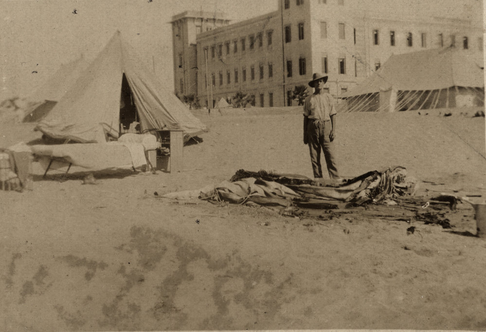 Photo from page 04 of album WWI Photograph Album - Egypt and Gallipoli