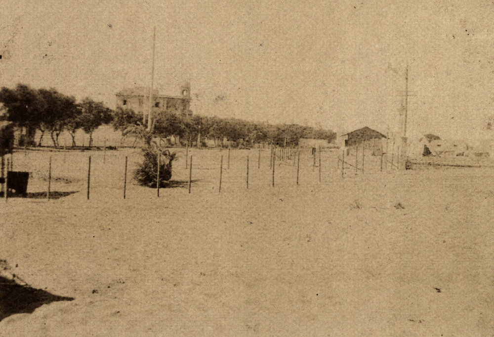 Photo from page 05 of album WWI Photograph Album - Egypt and Gallipoli