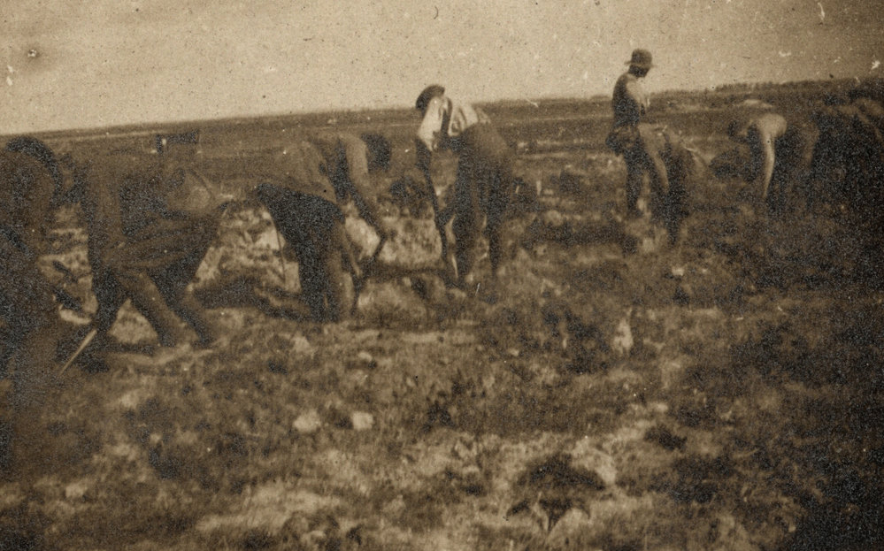 Photo from page 03 of album WWI Photograph Album - Western Front