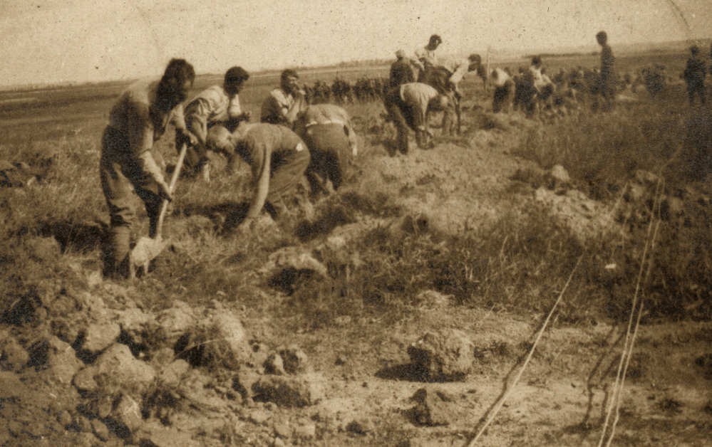 Photo from page 03 of album WWI Photograph Album - Western Front