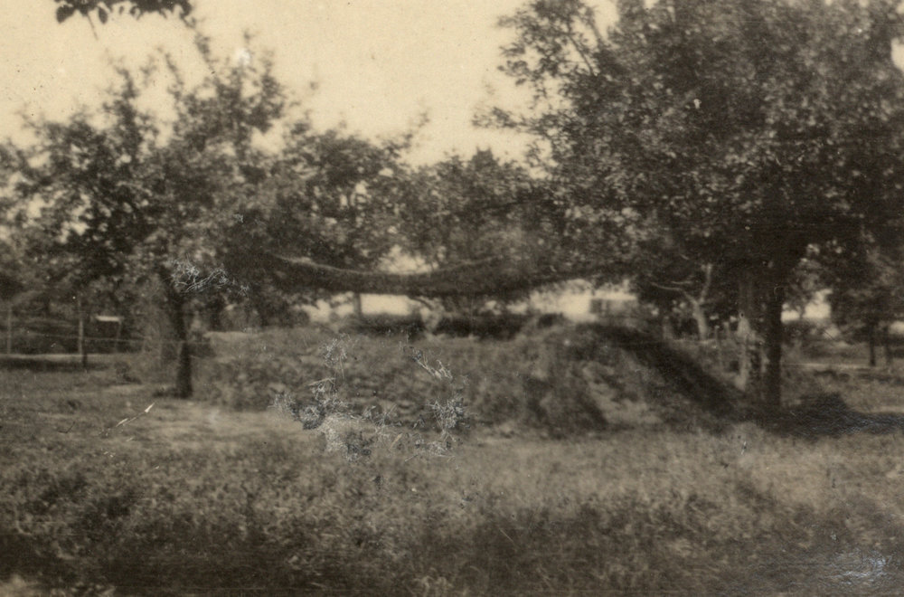 Photo from page 30 of album WWI Photograph Album - Western Front