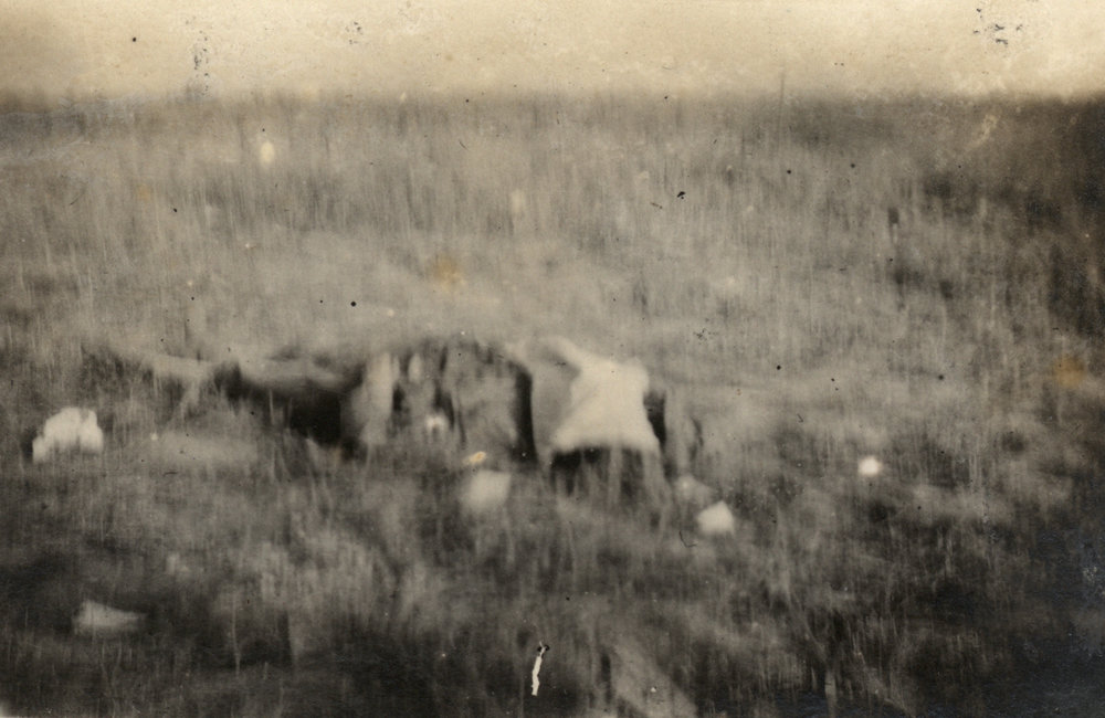 Photo from page 35 of album WWI Photograph Album - Western Front