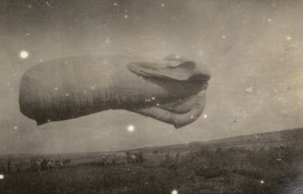 Photo from page 38 of album WWI Photograph Album - Western Front