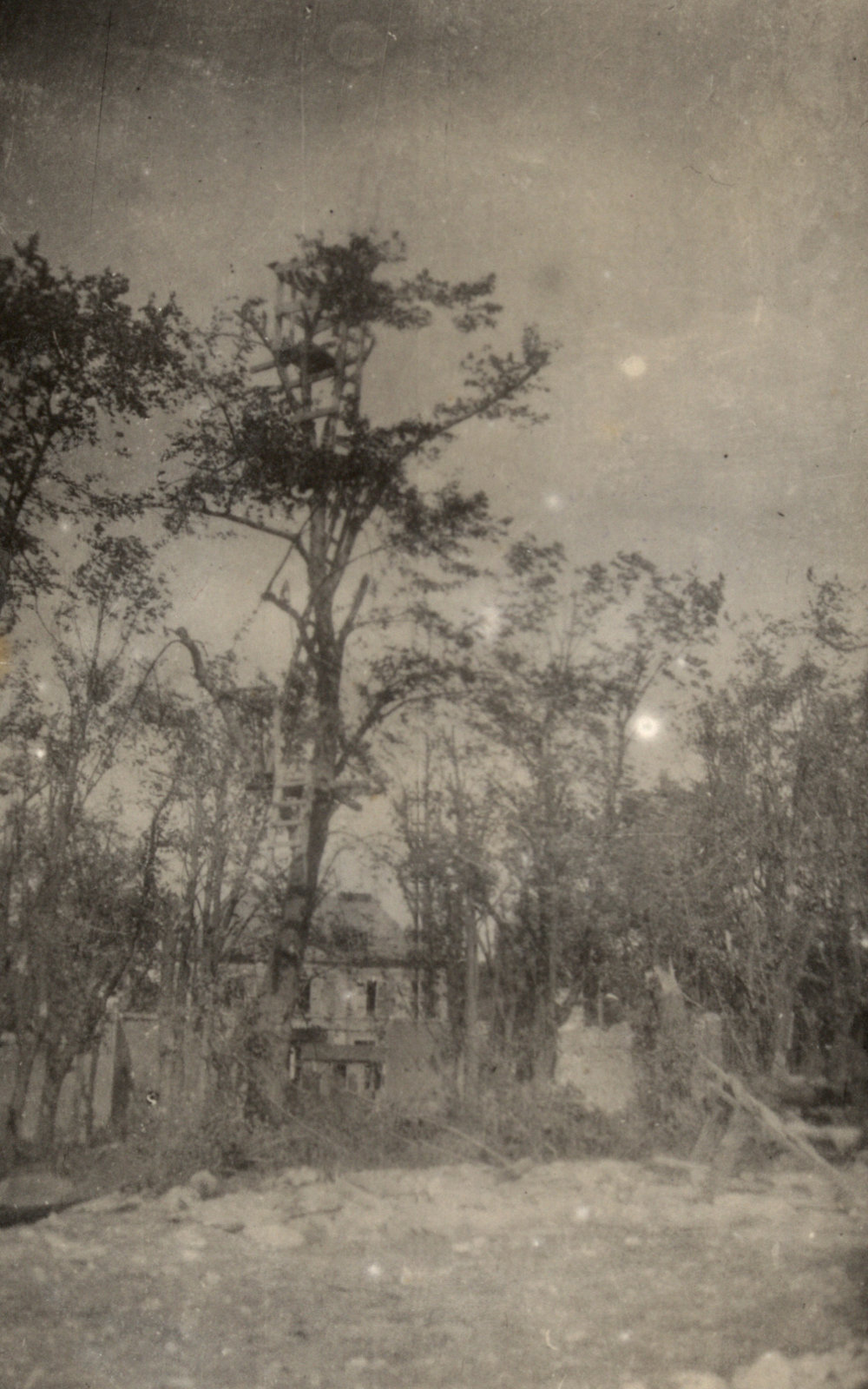 Photo from page 39 of album WWI Photograph Album - Western Front