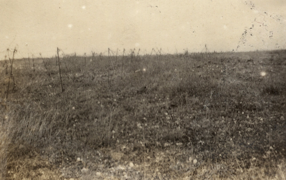 Photo from page 49 of album WWI Photograph Album - Western Front