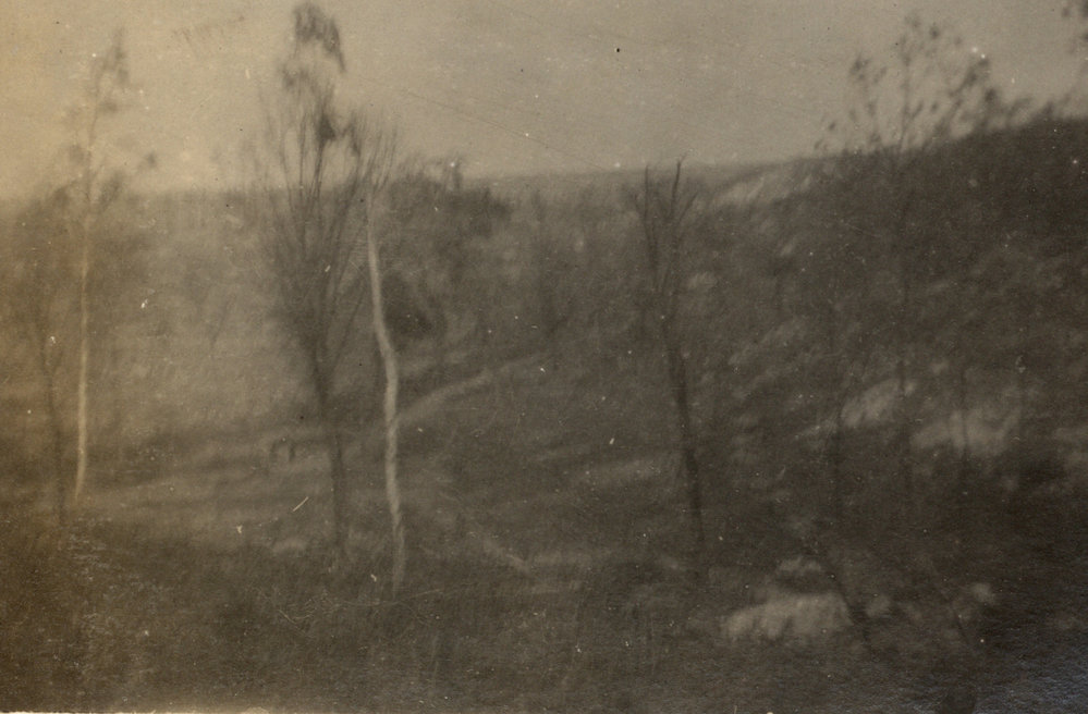 Photo from page 56 of album WWI Photograph Album - Western Front