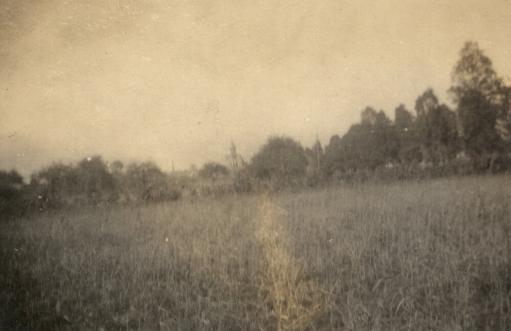 Photo from page 56 of album WWI Photograph Album - Western Front