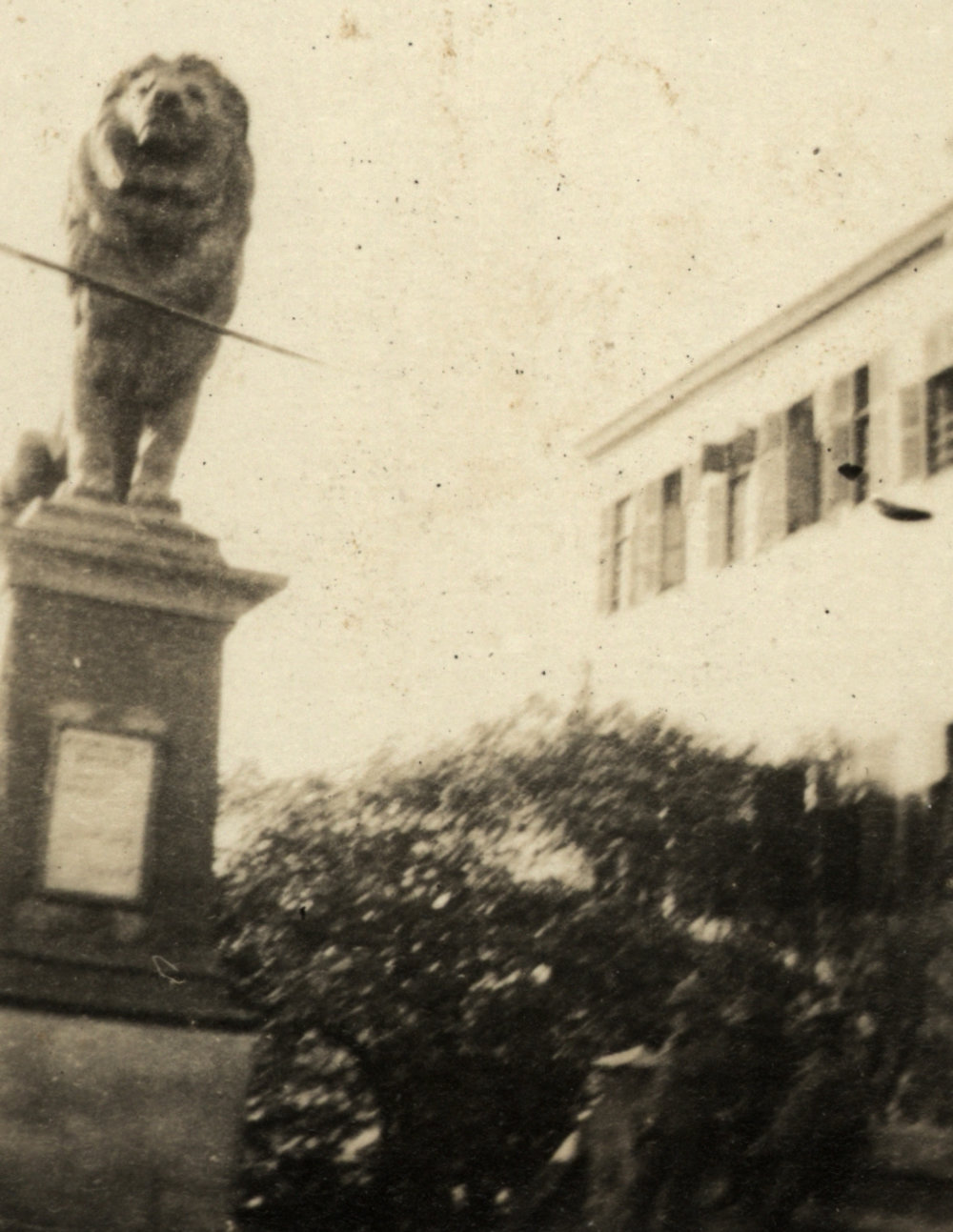 Photo from page 04 of album WWI Photograph Album - Egypt.