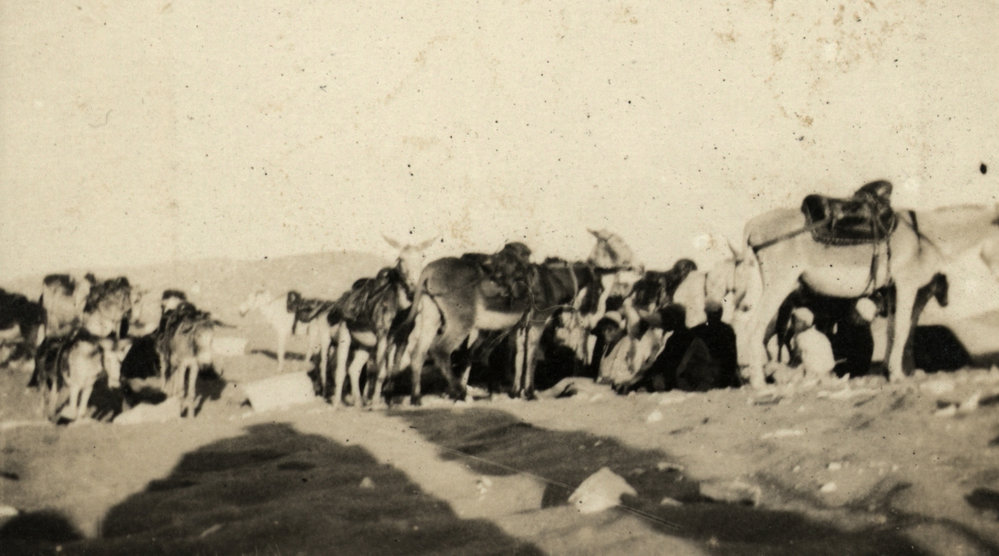 Photo from page 04 of album WWI Photograph Album - Egypt.