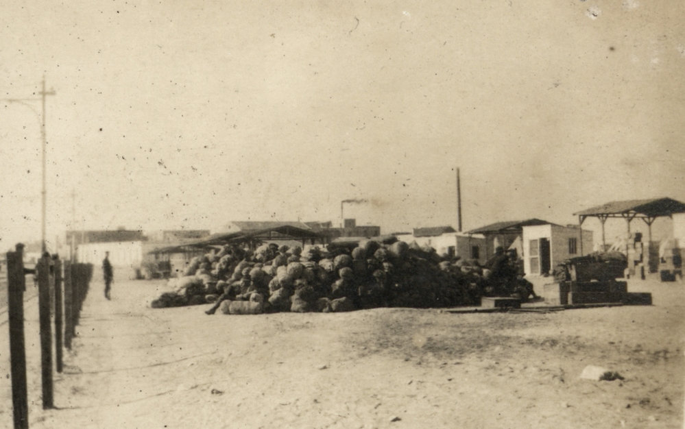 Photo from page 05 of album WWI Photograph Album - Egypt.