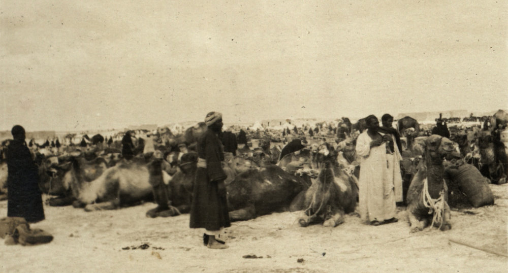 Photo from page 08 of album WWI Photograph Album - Egypt.