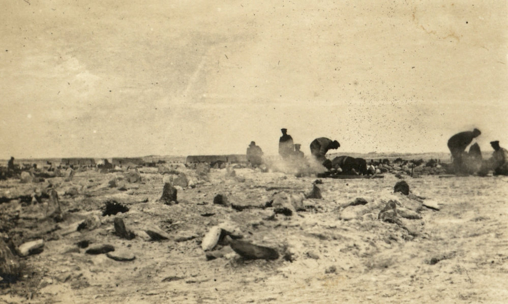Photo from page 08 of album WWI Photograph Album - Egypt.