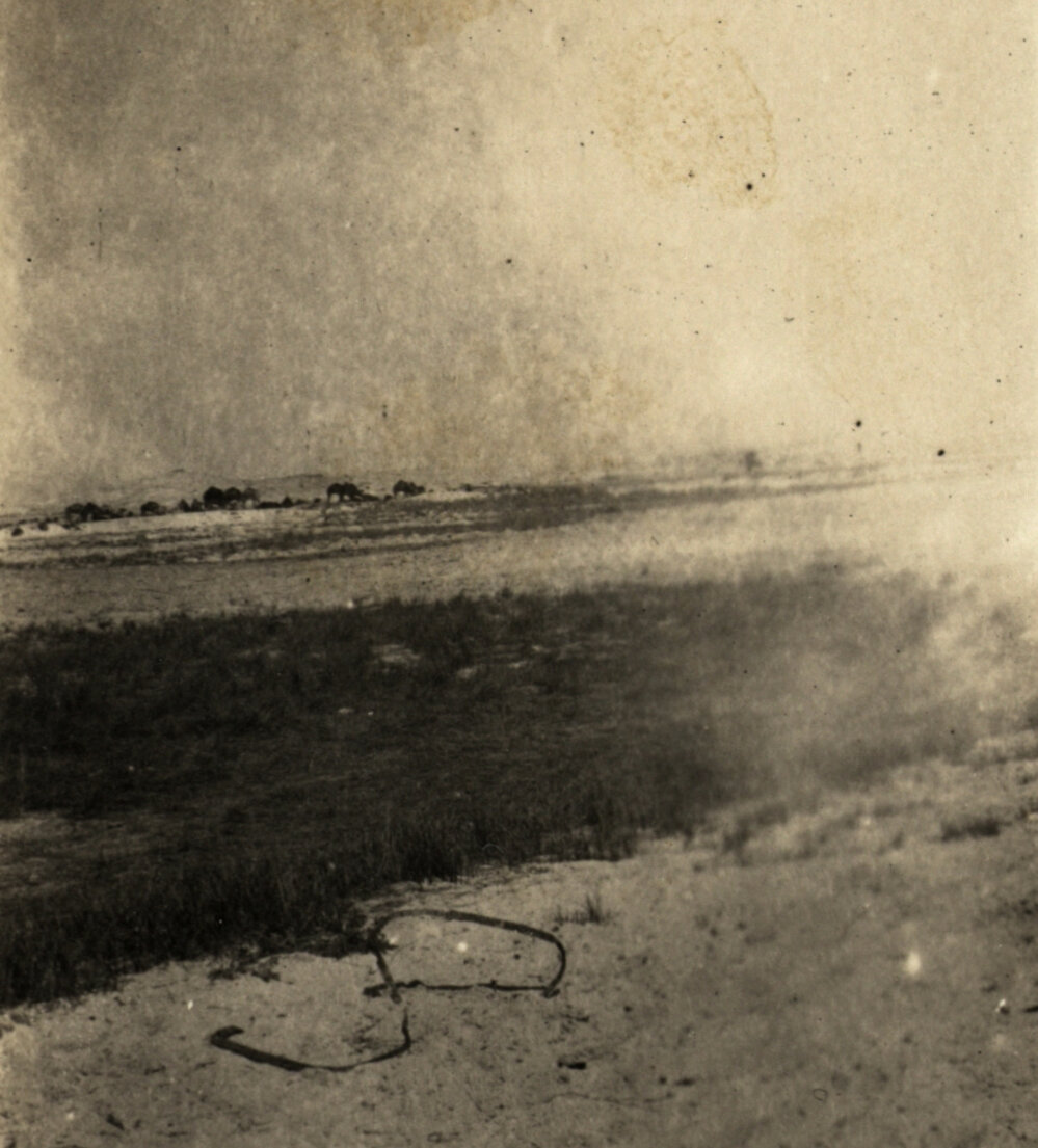 Photo from page 08 of album WWI Photograph Album - Egypt.