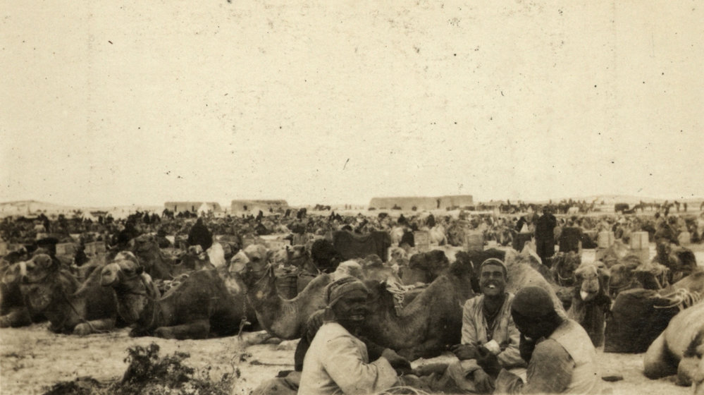 Photo from page 09 of album WWI Photograph Album - Egypt.