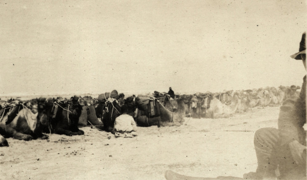 Photo from page 09 of album WWI Photograph Album - Egypt.