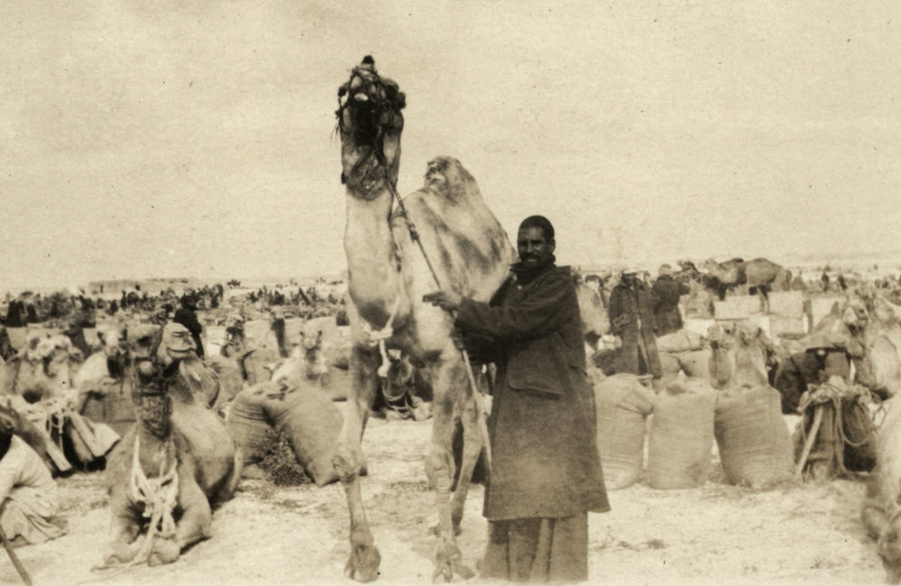 Photo from page 09 of album WWI Photograph Album - Egypt.