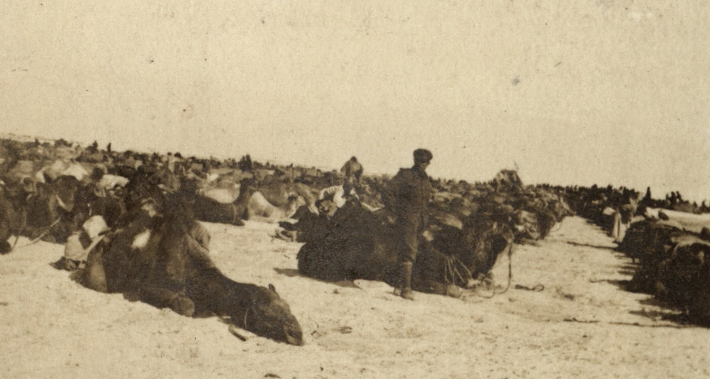 Photo from page 12 of album WWI Photograph Album - Egypt.
