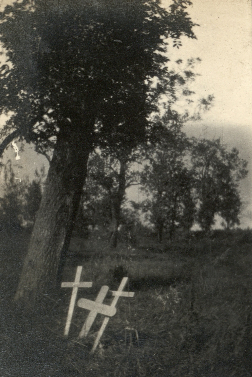 Photo from page 03 of album WWI Photograph Album - Western Front.
