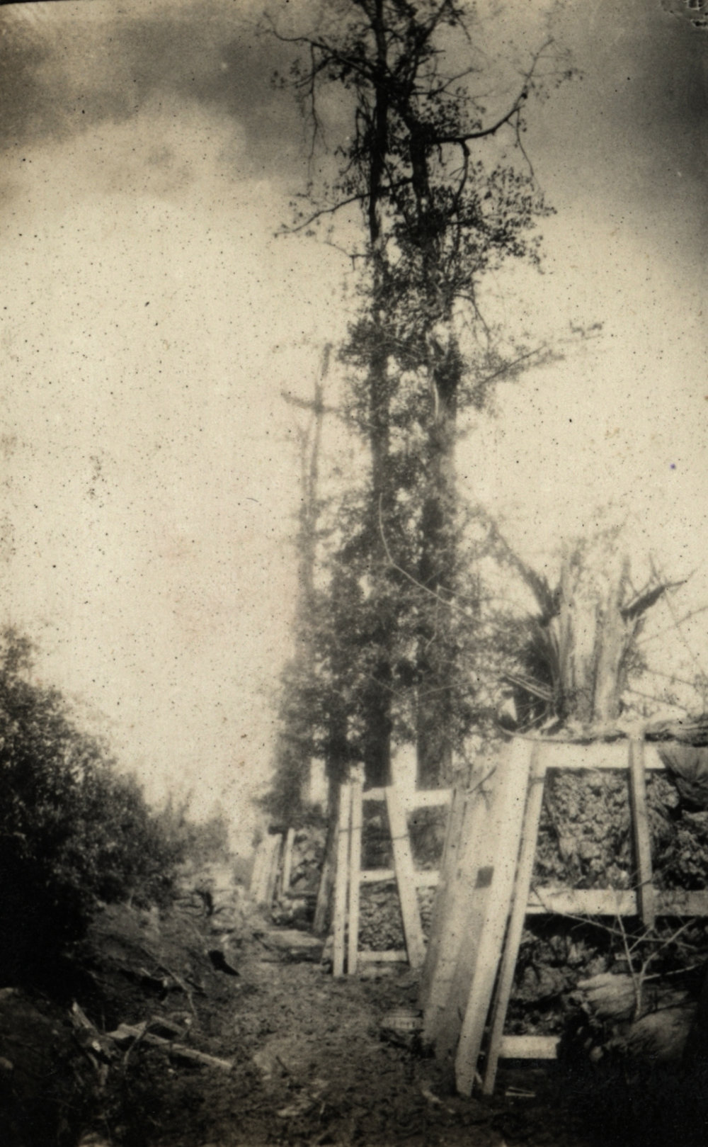 Photo from page 03 of album WWI Photograph Album - Western Front.