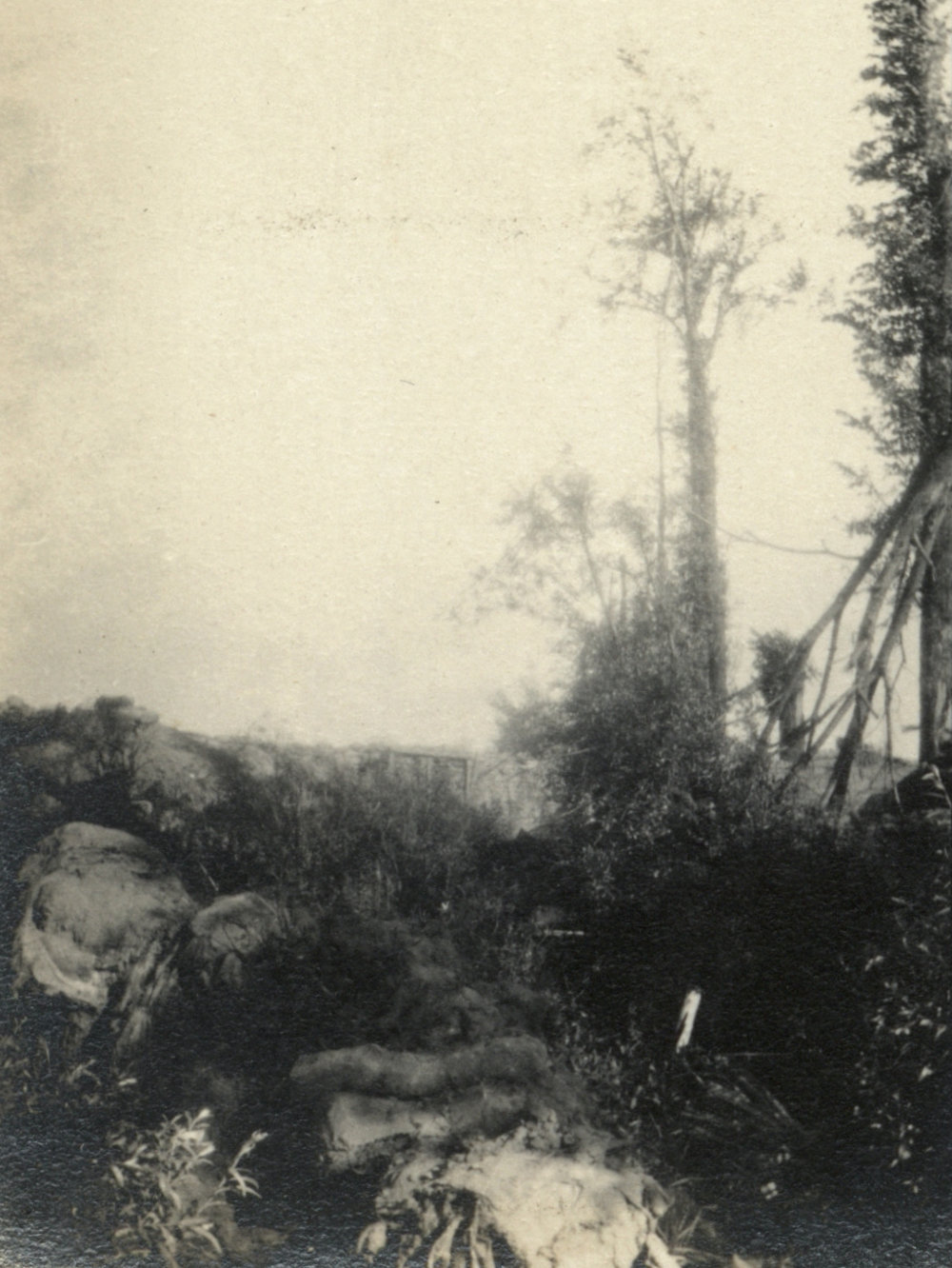 Photo from page 04 of album WWI Photograph Album - Western Front.