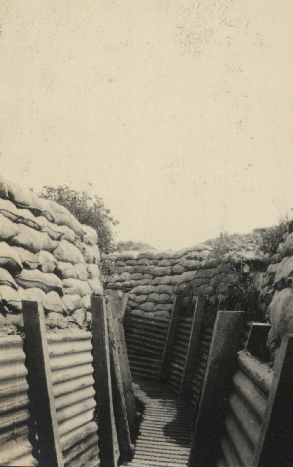 Photo from page 05 of album WWI Photograph Album - Western Front.